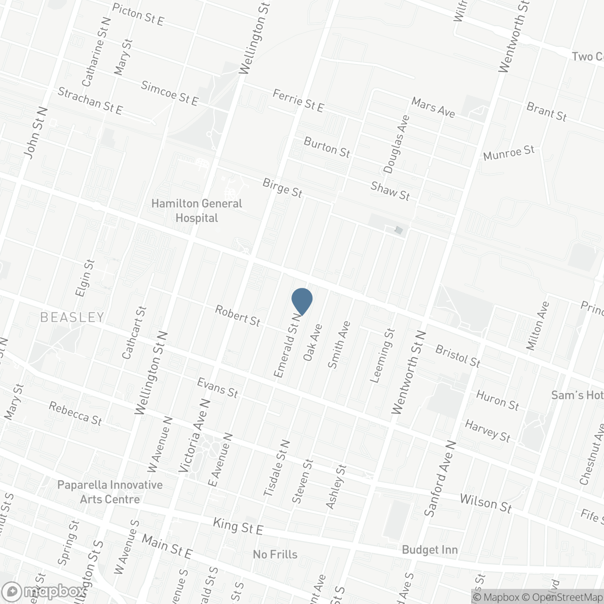 244 EMERALD STREET N, Hamilton, Ontario L8L 5K8